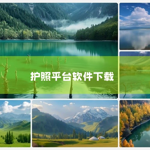苹果手机可用于护照相关服务的核心软件是“中国领事”APP，同时可搭配国家移民管理局相关平台，以下是详细说明：一、核心官方软件：“中国领事”APP1. 基本信息? 发布背景：由中国外交部领事司开发，20|