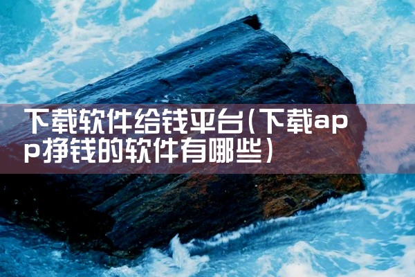 下载软件给钱平台